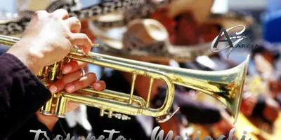 Trompeta Mariachi para Kontakt — Librería por Allan García (Gratis)